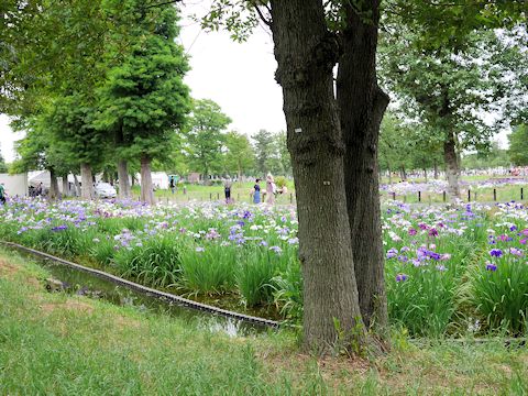 c0090198_2203645.jpg