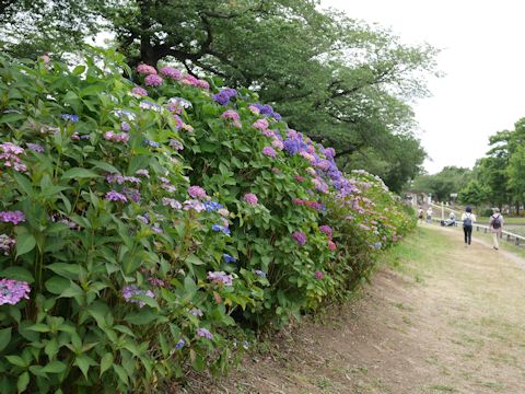 c0090198_2212458.jpg