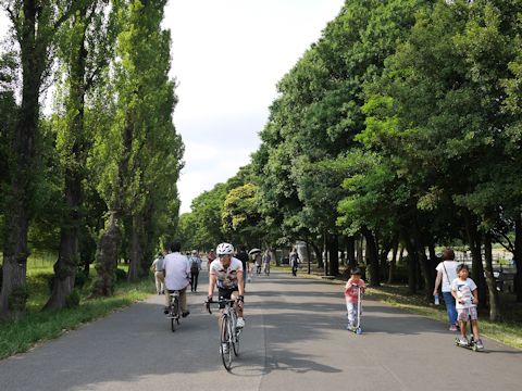 c0090198_2214375.jpg