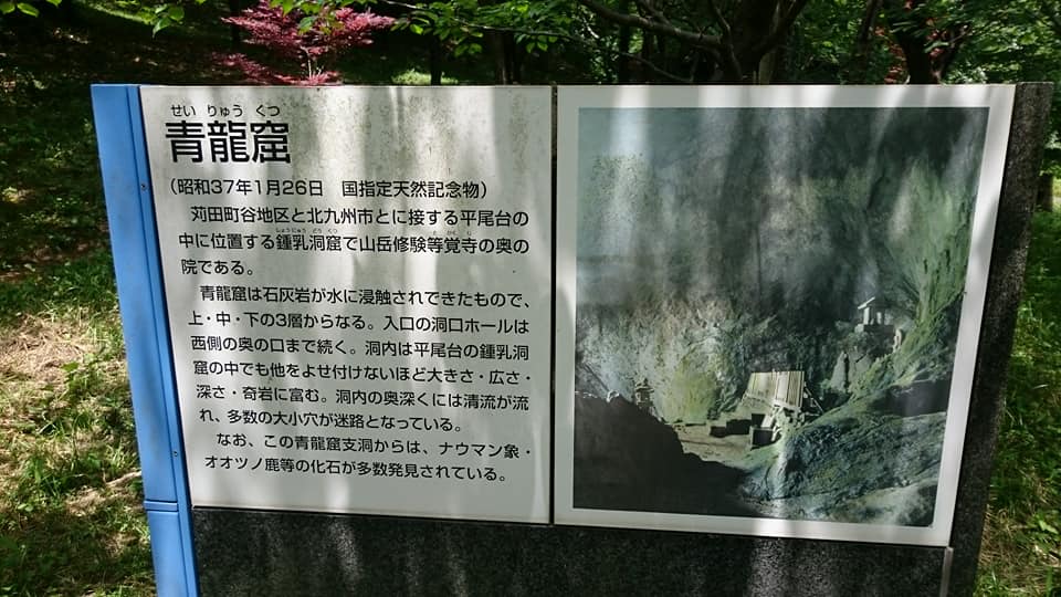 f0061705_13525573.jpg