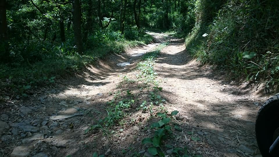 f0061705_14101645.jpg