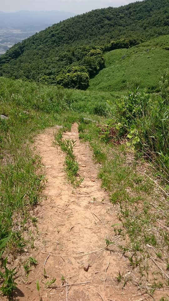 f0061705_1431835.jpg