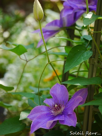 c0098807_20300123.jpg