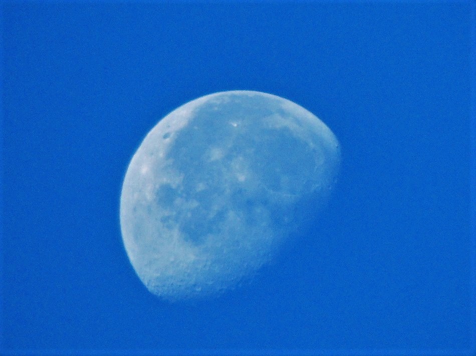e0372207_22085046.jpg
