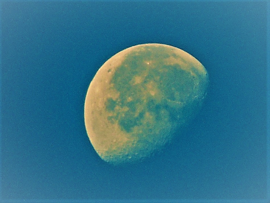 e0372207_22090961.jpg