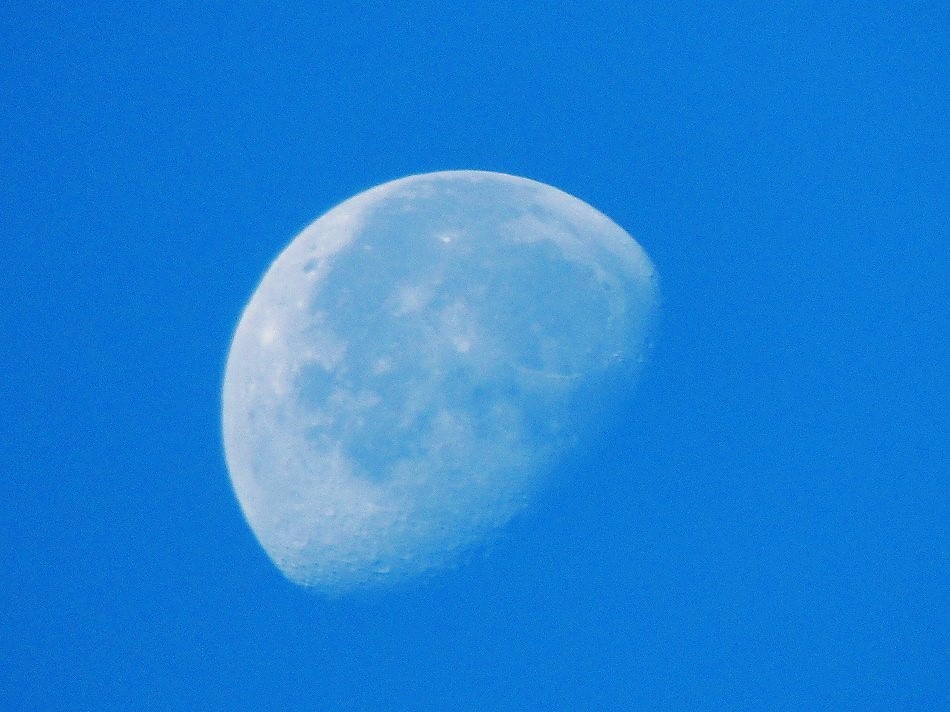 e0372207_22091999.jpg