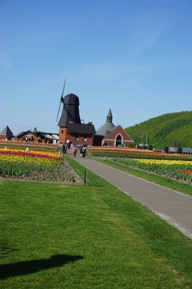d0200811_19513260.jpg