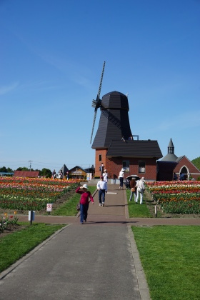 d0200811_19571188.jpg
