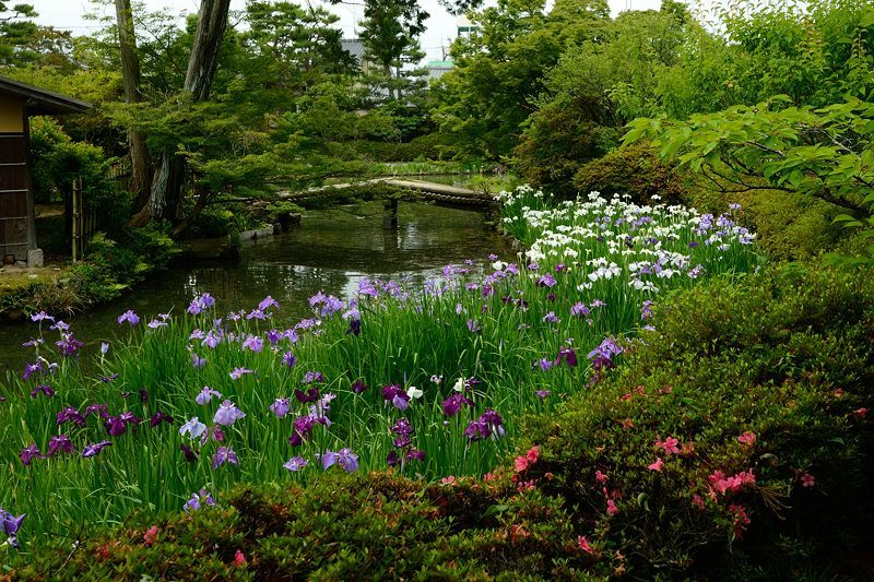f0032011_20422793.jpg