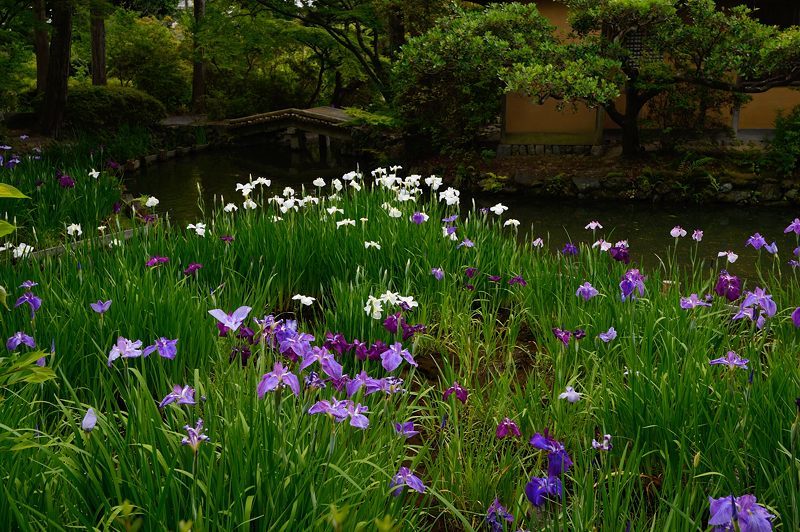 f0032011_20465388.jpg