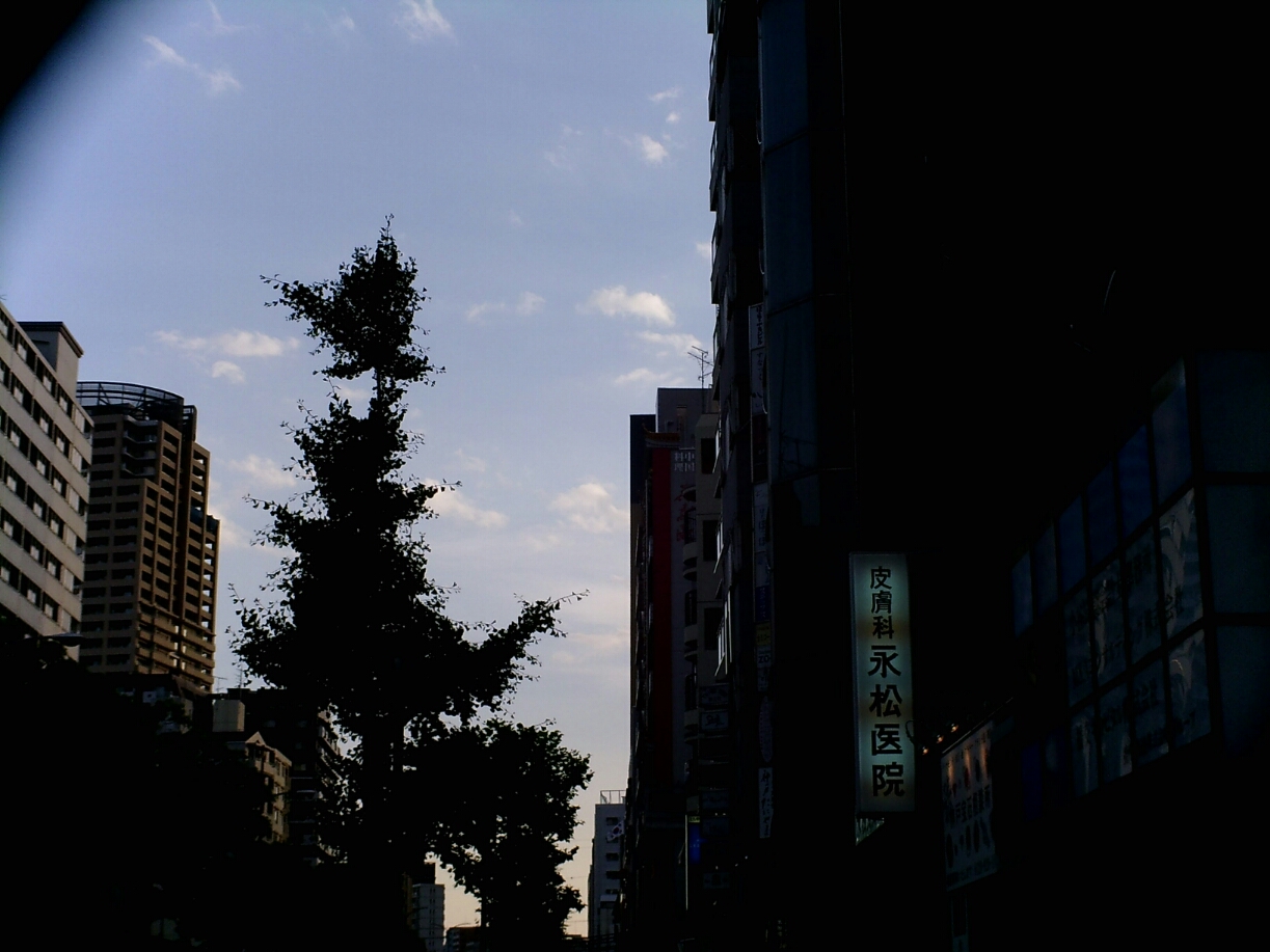 b0149812_2104756.jpg