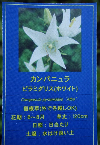 c0167112_207451.jpg