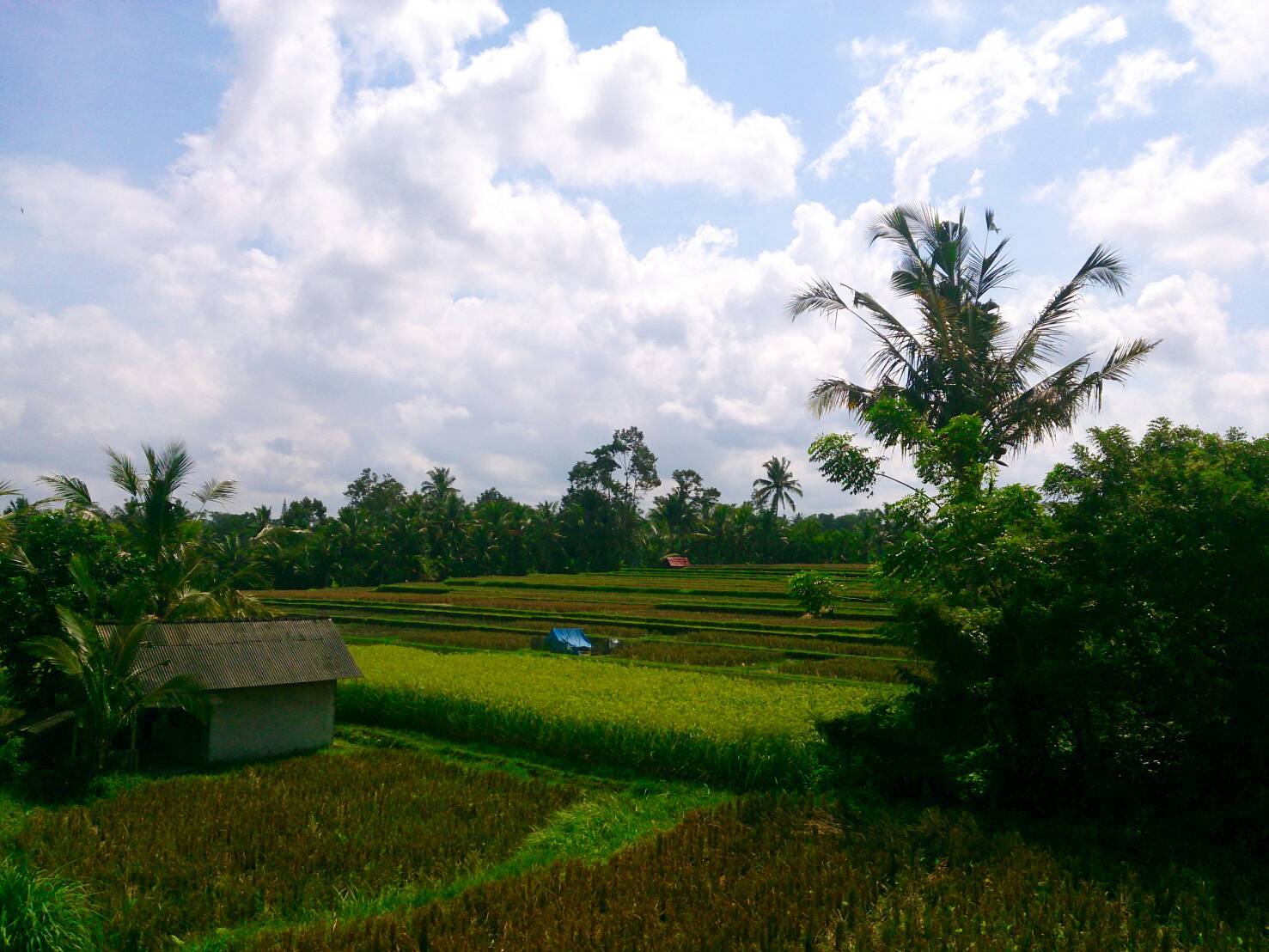 a0154918_23013907.jpg