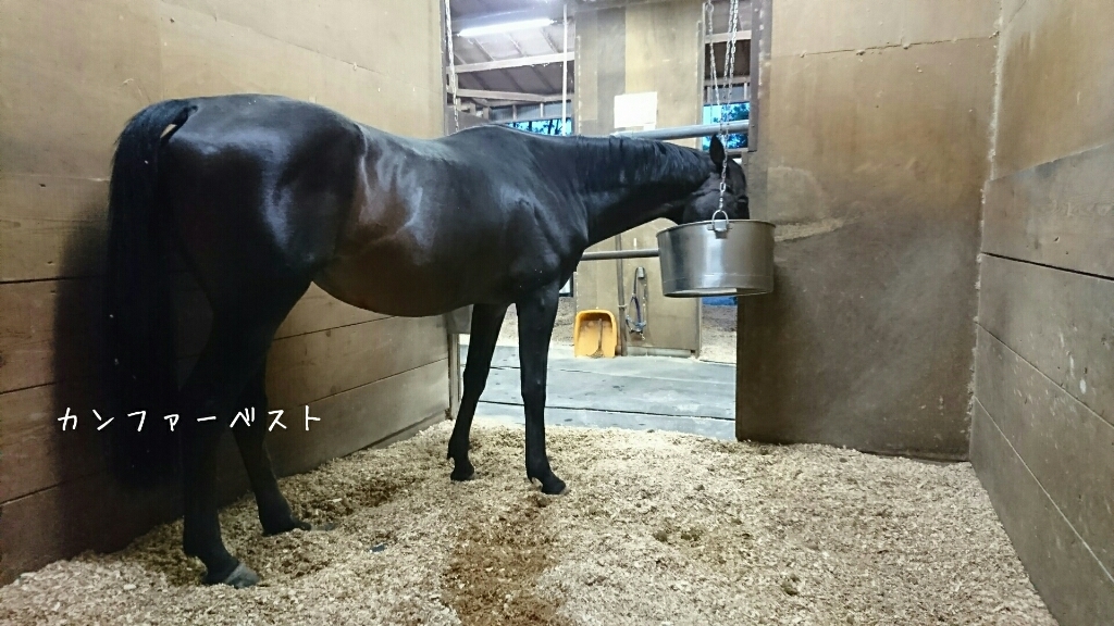 b0187620_19053168.jpg