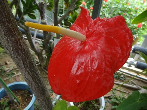 f0000521_20043904.jpg