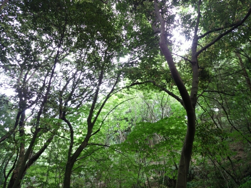 e0366727_15013361.jpg