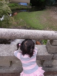 f0361027_17370460.jpg