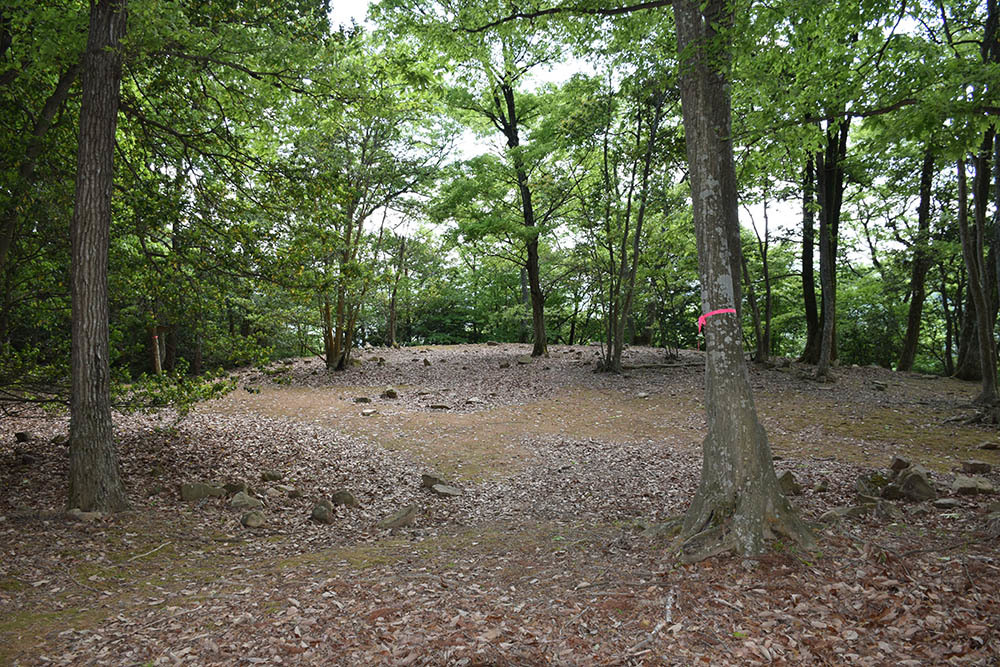 e0158128_22355137.jpg
