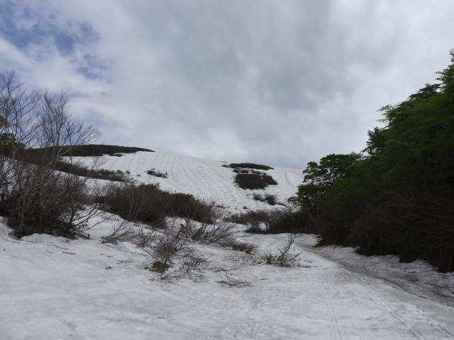 f0118332_23404599.jpg