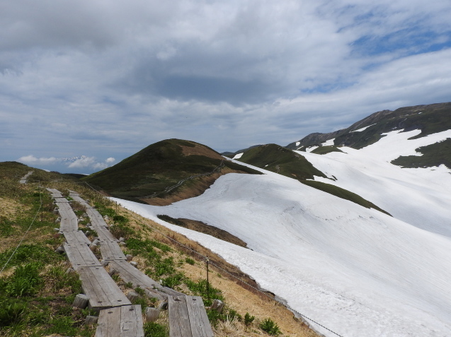 f0118332_23421406.jpg