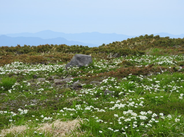 f0118332_23422737.jpg