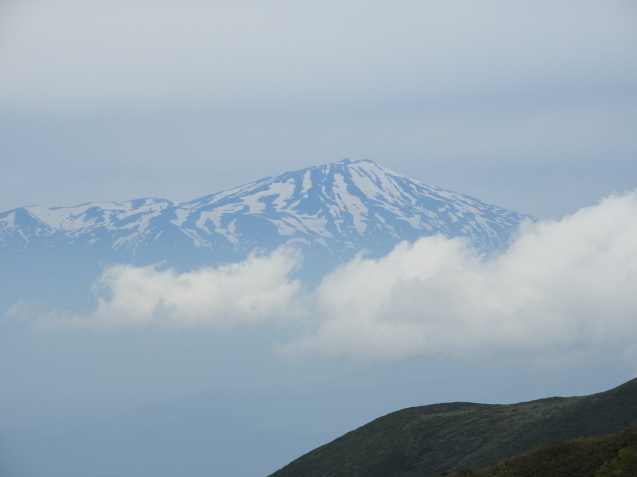 f0118332_23461333.jpg