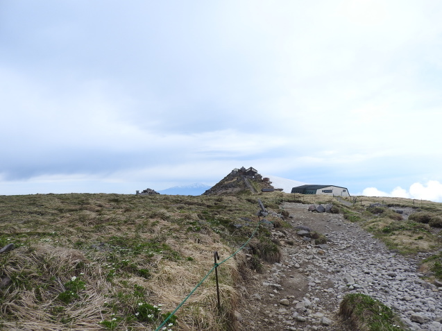 f0118332_23464032.jpg