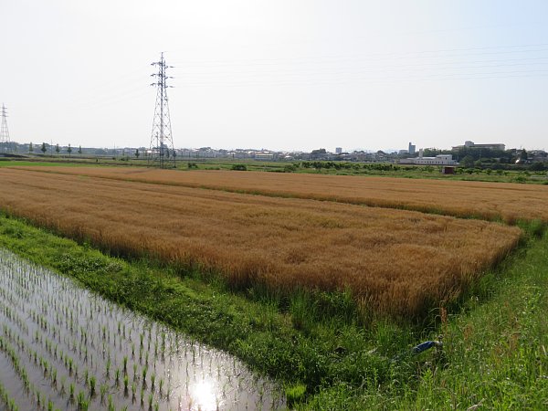 b0341140_6533138.jpg