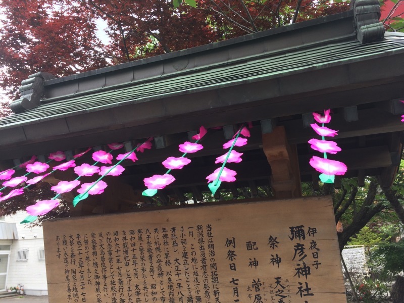 b0362442_12234878.jpg
