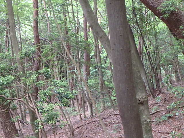 f0334143_6155270.jpg