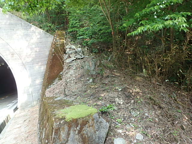 f0334143_6353724.jpg