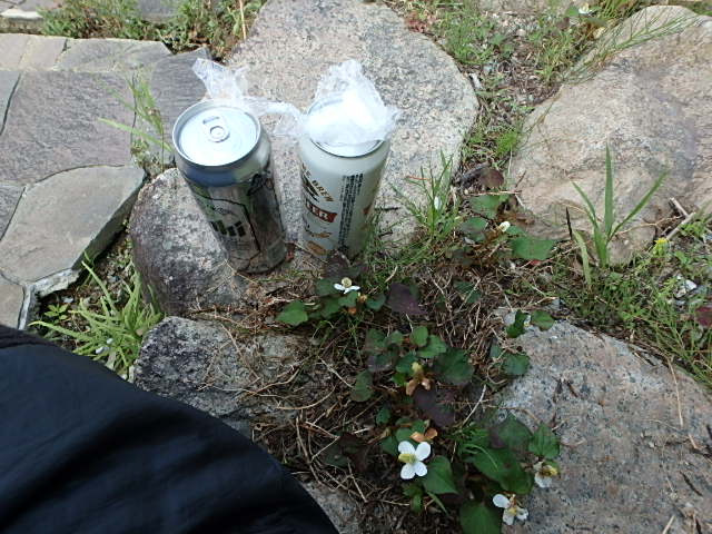f0334143_7313144.jpg