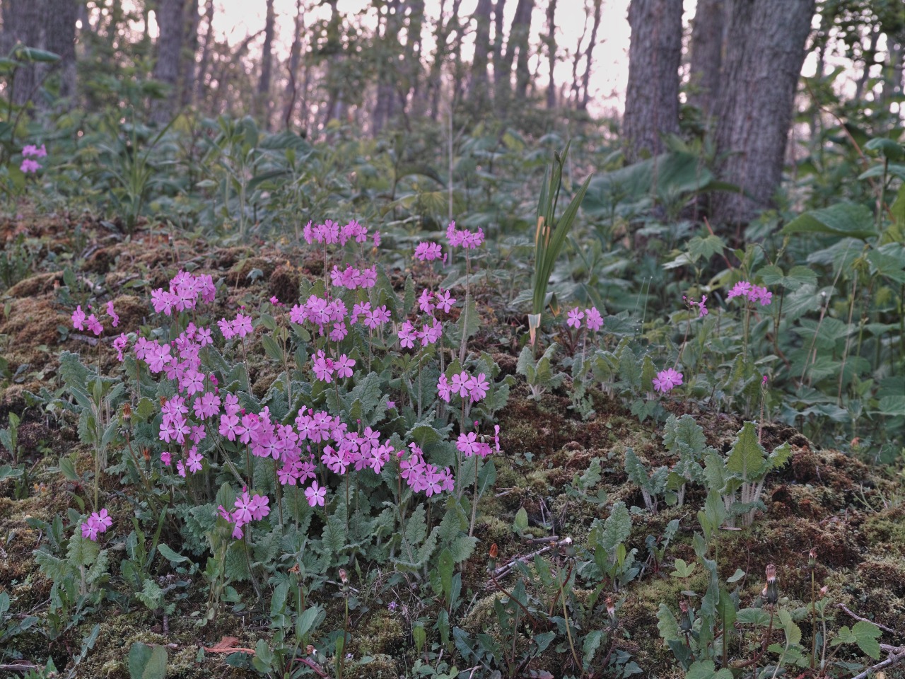 c0008948_21392498.jpg