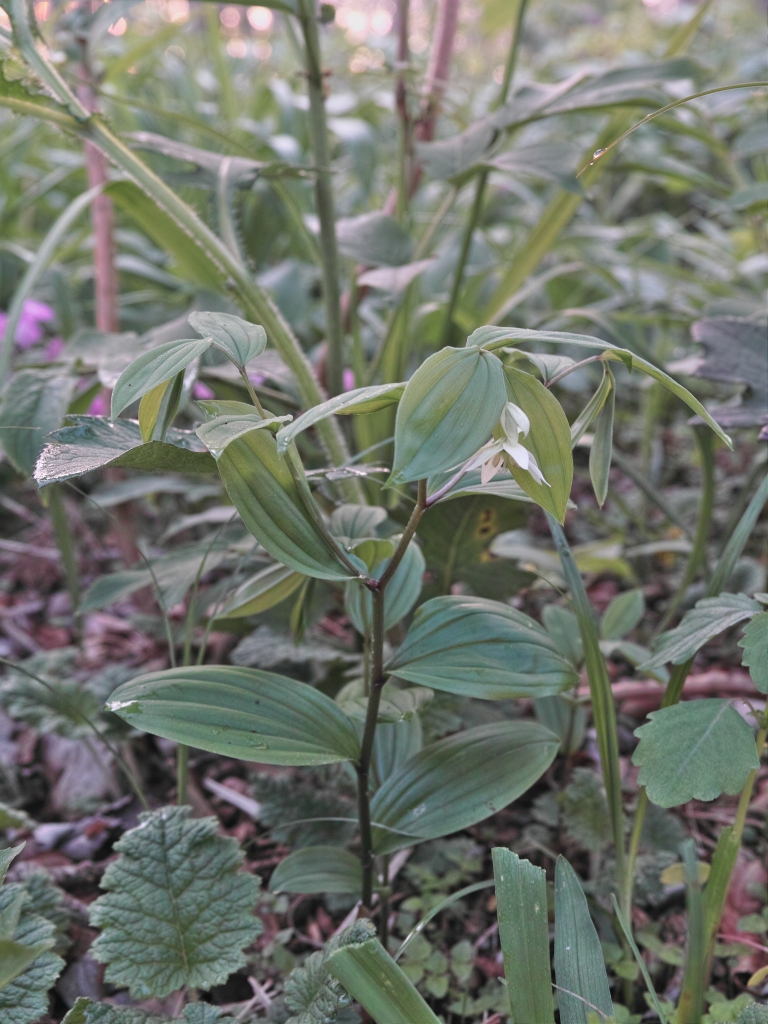 c0008948_21595774.jpg