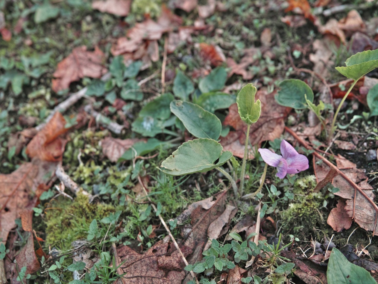 c0008948_22223379.jpg