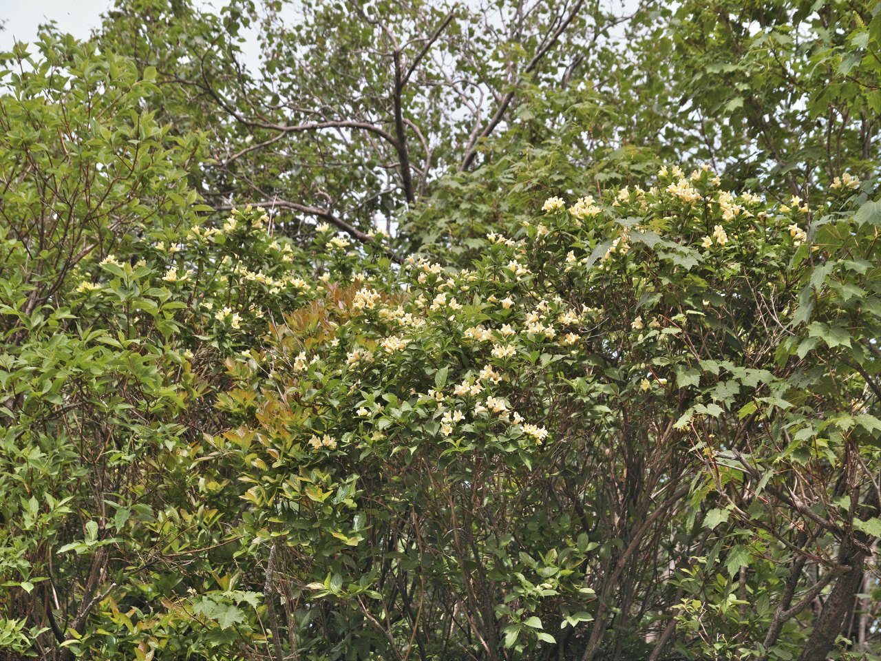 c0008948_22441949.jpg