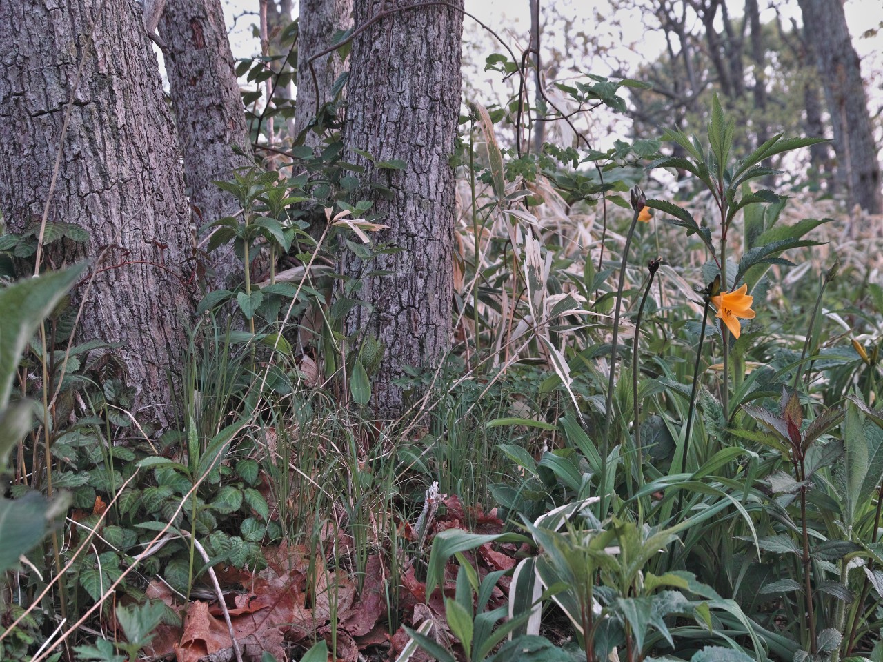 c0008948_2265988.jpg