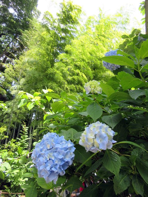 b0009849_17481464.jpg