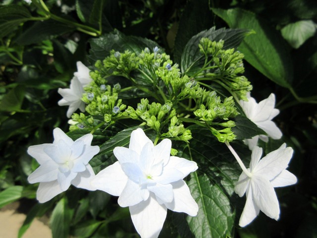 b0009849_21401363.jpg