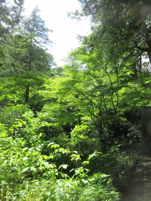 b0009849_21441824.jpg