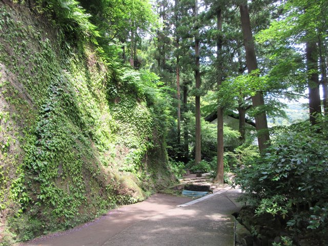 b0009849_21463334.jpg