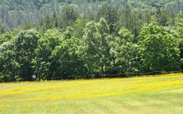 b0289649_15432910.jpg