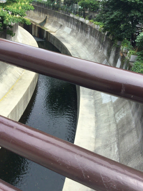 d0063149_12284476.jpg