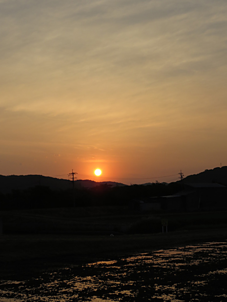 f0214649_03564323.jpg