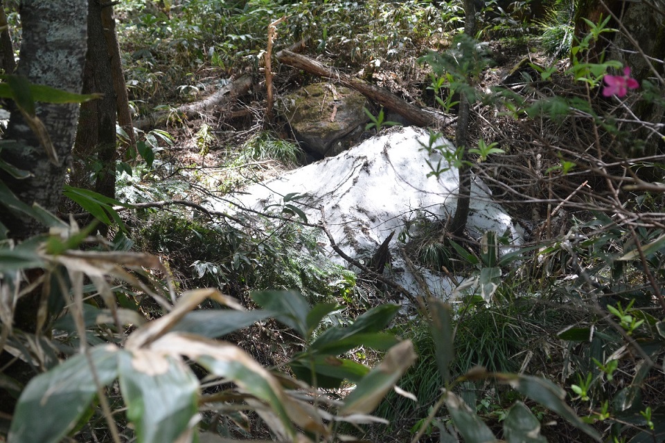 a0055650_13573265.jpg