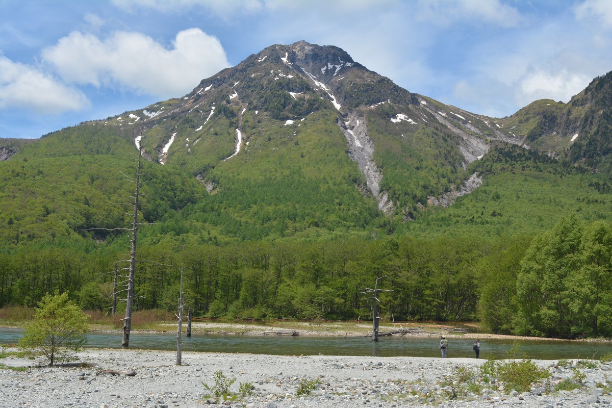 a0055650_13583825.jpg