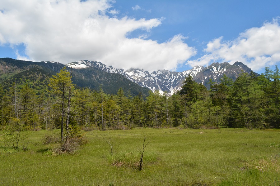 a0055650_13591499.jpg