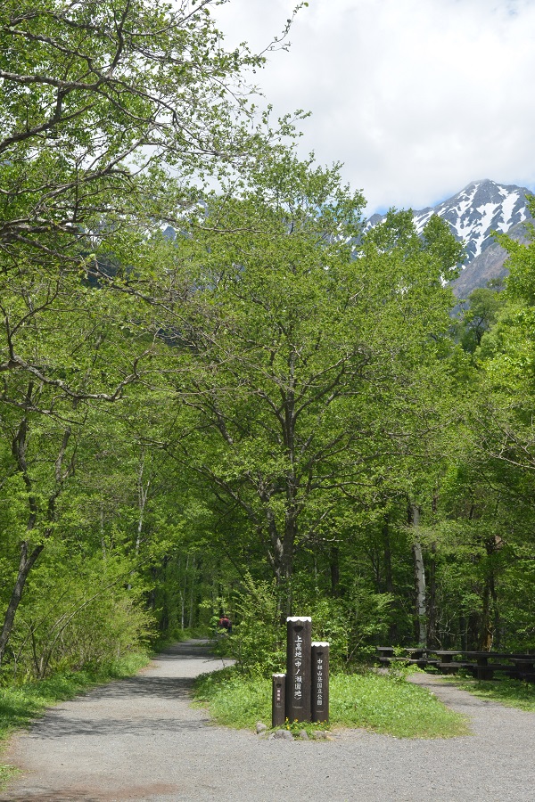 a0055650_1401766.jpg