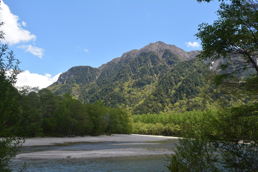a0055650_1403242.jpg