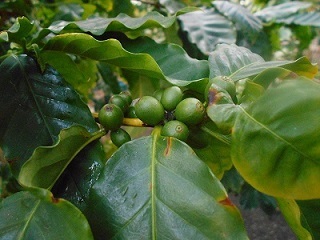 e0127653_17194932.jpg